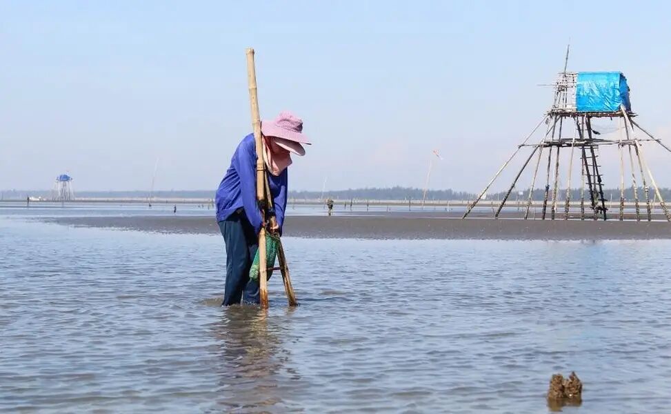 Con Vanh Beach Thai Binh, Hung Yen Province